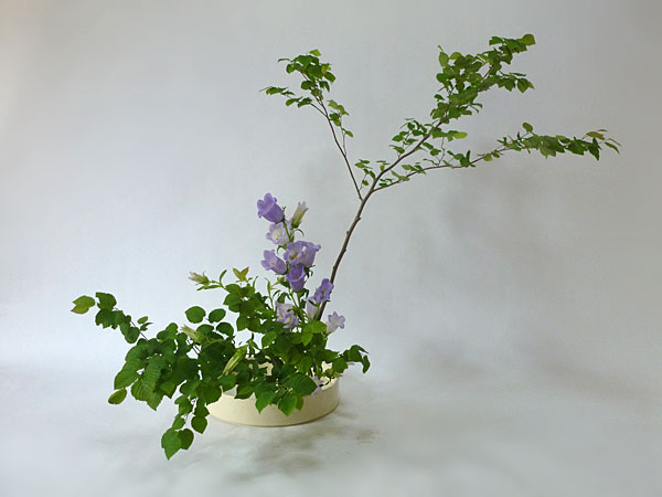 2015年6月25日木曜日、福島県郡山市・菅野草苑（かんのそうえん）教室で学ぶ本間草葵さんの作品