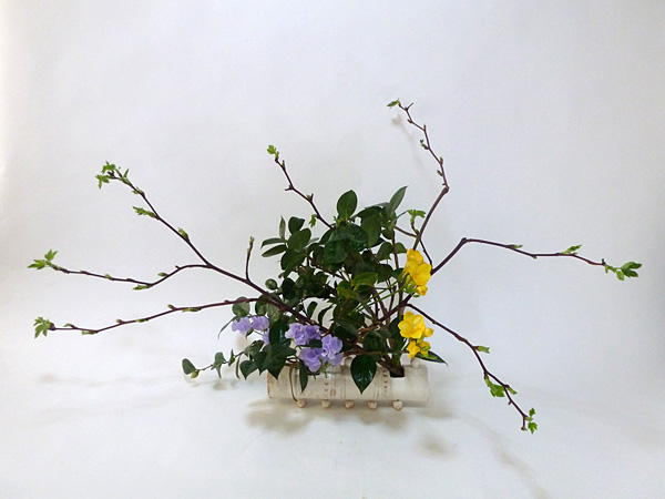 2015年3月20日金曜日、福島県郡山市・菅野草苑（かんのそうえん）さんの作品