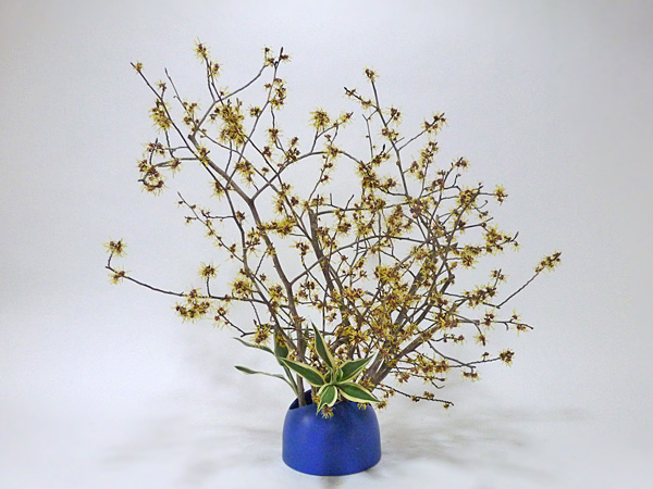 2015年3月30日月曜日、福島県郡山市・菅野草苑（かんのそうえん）さんの作品