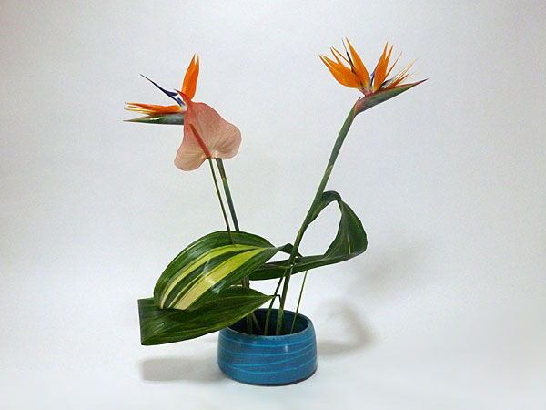 2015年5月11日月曜日、福島県郡山市・菅野草苑（かんのそうえん）さんの作品