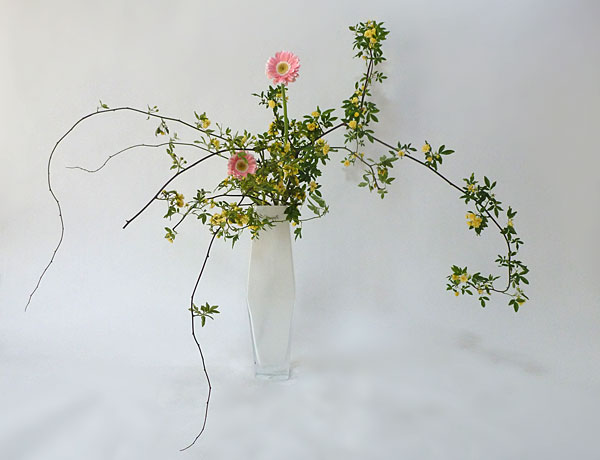 2015年5月14日木曜日、福島県郡山市・菅野草苑（かんのそうえん）教室で学ぶ本間草葵さんの作品