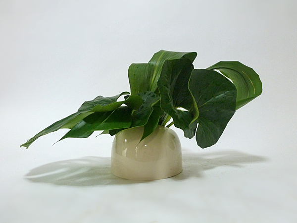 2015年11月24日火曜日、福島県郡山市・菅野草苑（かんのそうえん）教室で学ぶ秋元かなえさんの作品