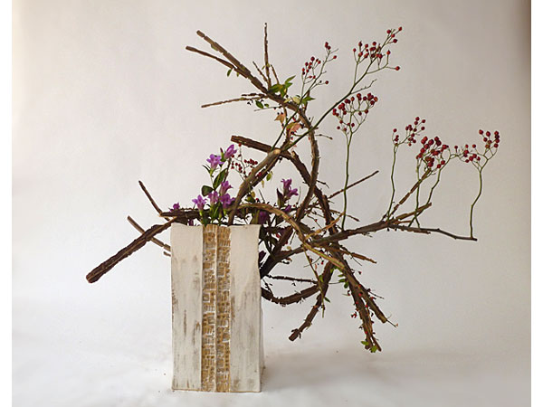 2015年11月13日金曜日、福島県郡山市・菅野草苑（かんのそうえん）さんの作品