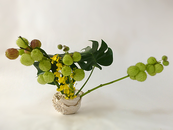 2015年11月20日金曜日、福島県郡山市・菅野草苑（かんのそうえん）さんの作品