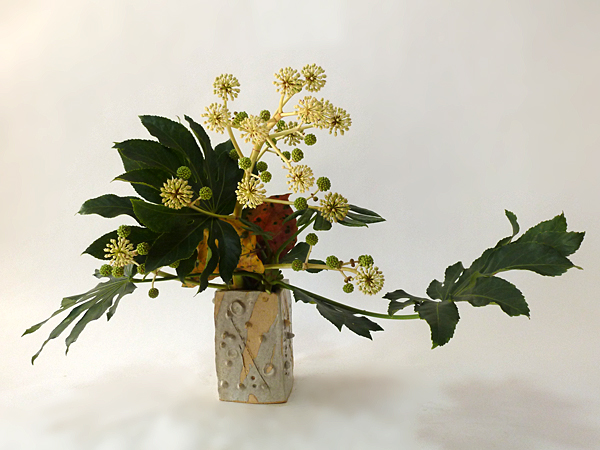 2015年11月27日金曜日、福島県郡山市・菅野草苑（かんのそうえん）さんの作品