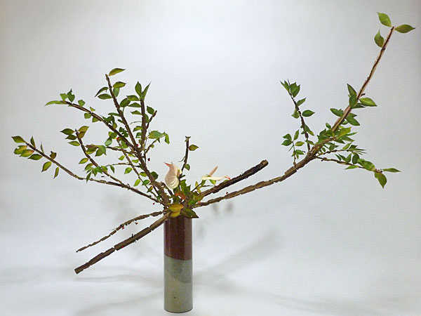 2015年11月10日火曜日、福島県郡山市・菅野草苑（かんのそうえん）教室で学ぶ石本草佳さんの作品