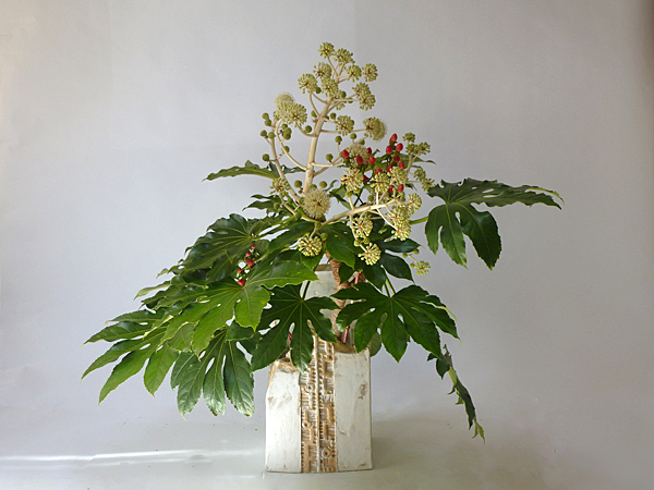 2015年11月25日水曜日、福島県郡山市・菅野草苑（かんのそうえん）教室で学ぶ本間草葵さんの作品