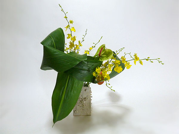 2015年10月2日金曜日、福島県郡山市・菅野草苑（かんのそうえん）さんの作品