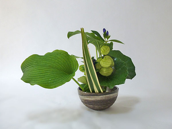 2015年9月8日火曜日、福島県郡山市・菅野草苑（かんのそうえん）教室で学ぶ秋元かなえさんの作品