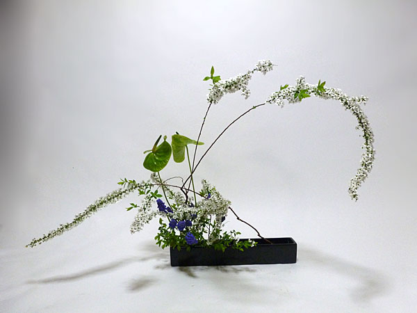 2016年4月28日木曜日、福島県郡山市・菅野草苑（かんのそうえん）教室で学ぶ根本流苑さんの作品