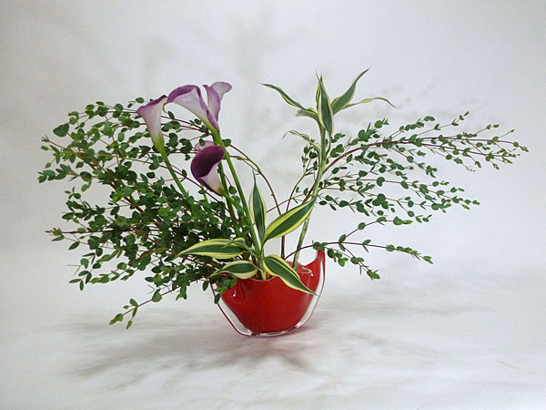 2016年8月26日金曜日、福島県郡山市・菅野草苑（かんのそうえん）さんの作品