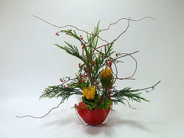 2016年11月25日金曜日、福島県郡山市・菅野草苑（かんのそうえん）さんの作品