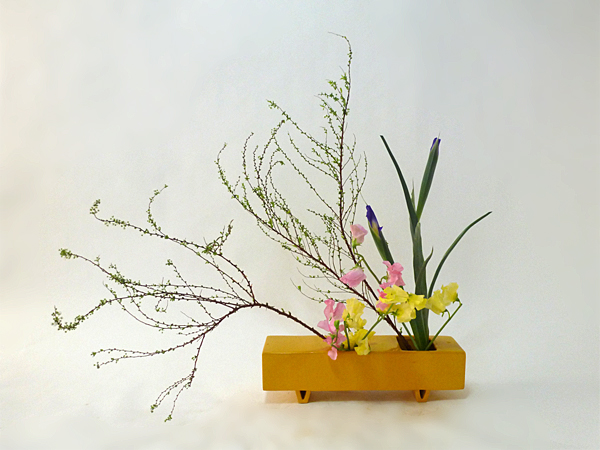 2016年2月9日火曜日、福島県郡山市・菅野草苑（かんのそうえん）教室で学ぶ遠山ハツ子さんの作品