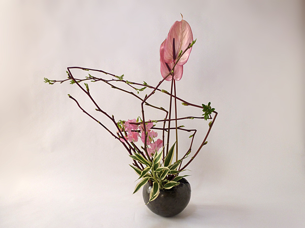 2016年2月12日金曜日、福島県郡山市・菅野草苑（かんのそうえん）さんの作品