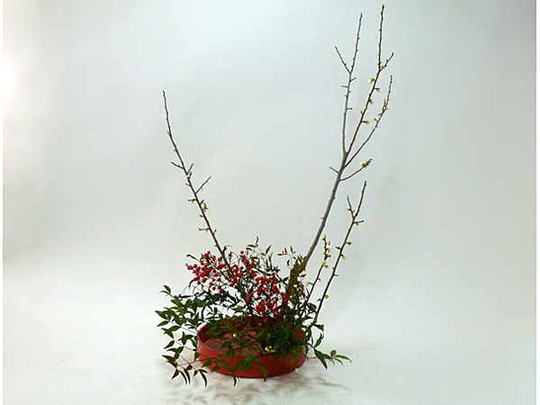 2016年1月20日水曜日、福島県郡山市・菅野草苑（かんのそうえん）教室で学ぶ円谷友子さんの作品