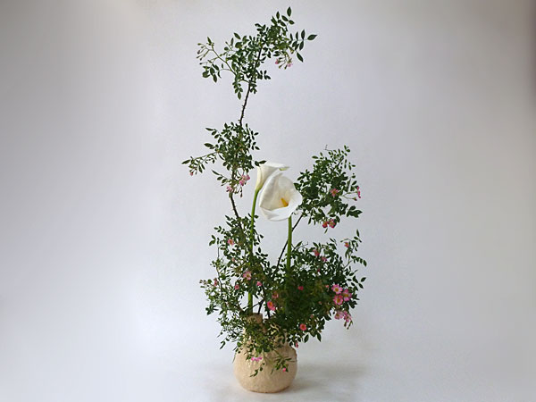 2016年7月8日金曜日、福島県郡山市・菅野草苑（かんのそうえん）さんの作品