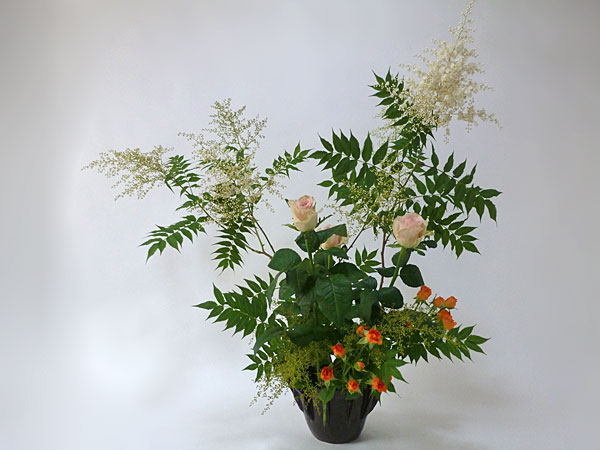 2016年7月15日金曜日、福島県郡山市・菅野草苑（かんのそうえん）さんの作品