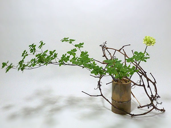 2016年6月23日木曜日、福島県郡山市・菅野草苑（かんのそうえん）教室で学ぶ大河原喜恵さんの作品