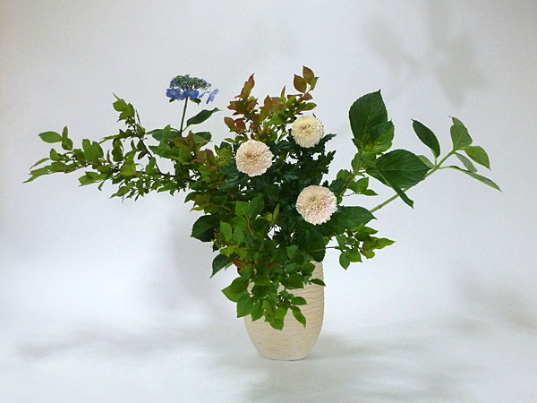 2016年6月24日金曜日、福島県郡山市・菅野草苑（かんのそうえん）さんの作品