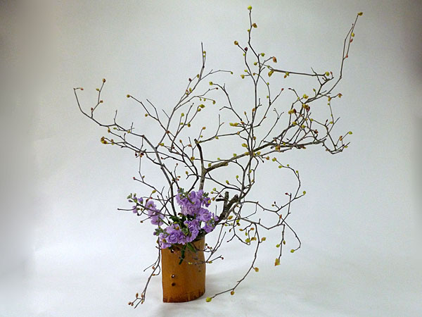 2016年3月25日金曜日、福島県郡山市・菅野草苑（かんのそうえん）さんの作品