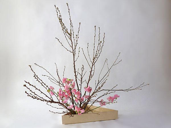 2016年3月9日水曜日、福島県郡山市・菅野草苑（かんのそうえん）教室で学ぶ本間草葵さんの作品