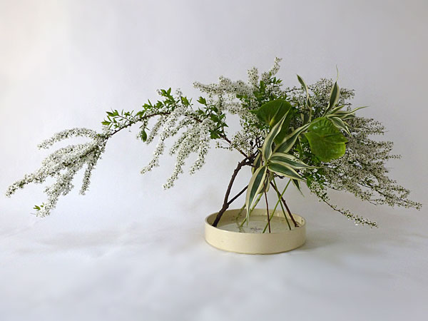 2016年5月2日月曜日、福島県郡山市・菅野草苑（かんのそうえん）教室で学ぶ秋元かなえさんの作品