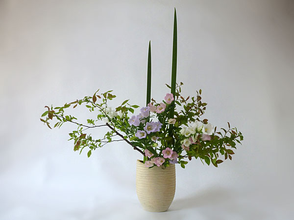 2016年5月20日金曜日、福島県郡山市・菅野草苑（かんのそうえん）さんの作品