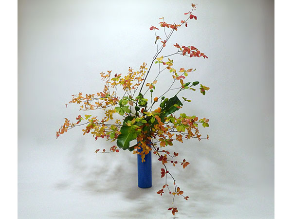 2016年11月10日水曜日、福島県郡山市・秋元かなえさんの作品