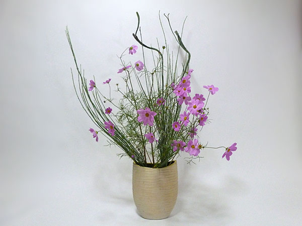 2016年11月1日火曜日、福島県郡山市・石本草佳さんの作品