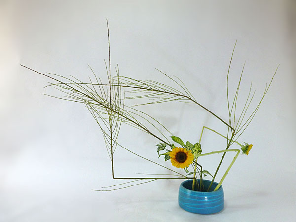 2016年9月9日金曜日、福島県郡山市・菅野草苑（かんのそうえん）さんの作品
