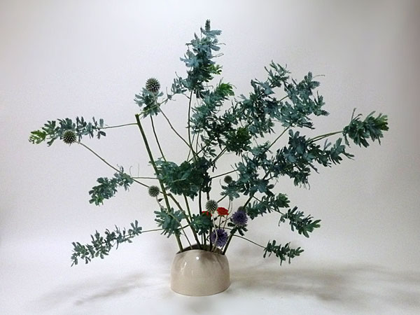 2017年8月11日金曜日、福島県郡山市・菅野草苑（かんのそうえん）さんの作品