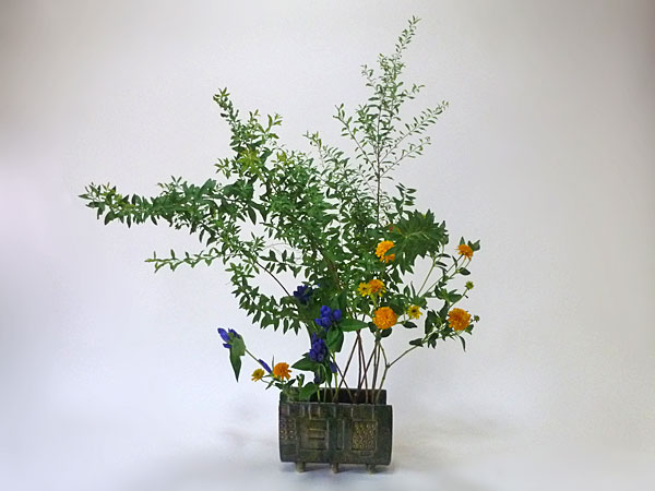 2017年8月18日金曜日、福島県郡山市・菅野草苑（かんのそうえん）さんの作品
