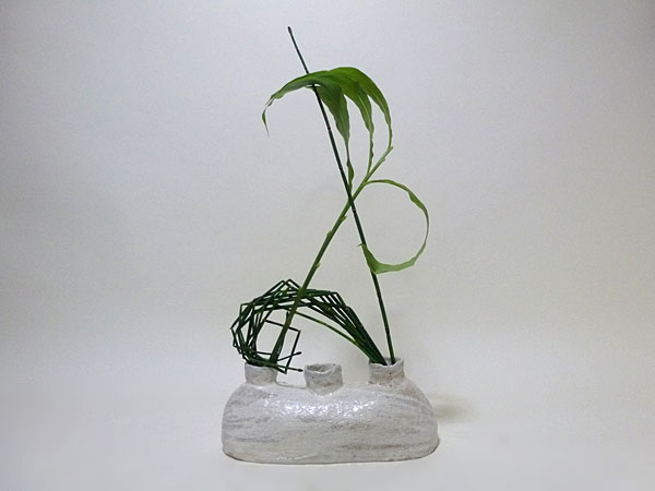 2017年8月24日木曜日、福島県郡山市・菅野草苑（かんのそうえん）さんの作品