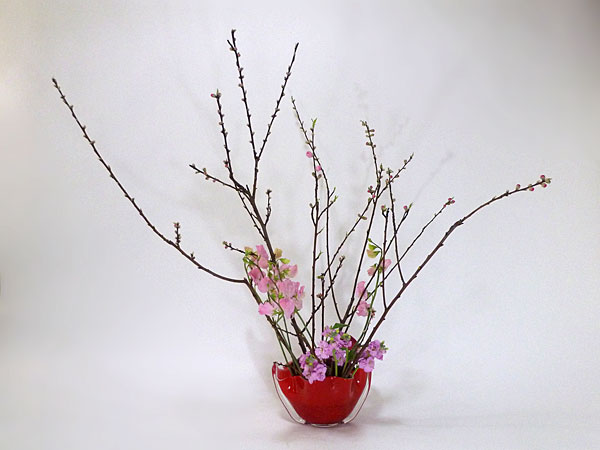 2017年2月日金曜日、福島県郡山市・菅野草苑（かんのそうえん）さんの作品