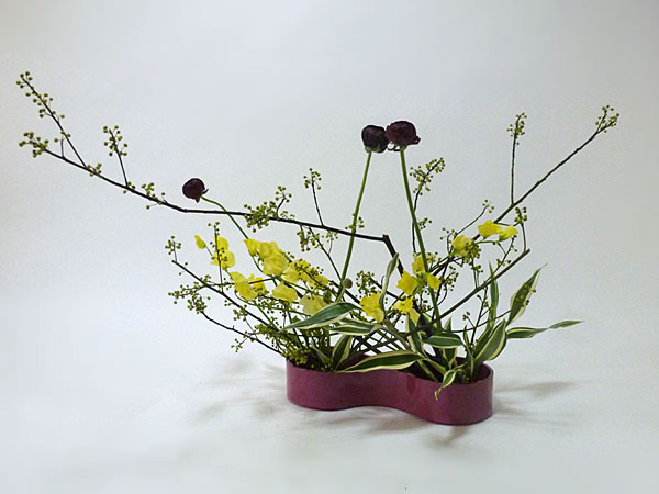 2017年2月17日金曜日、福島県郡山市・菅野草苑（かんのそうえん）さんの作品