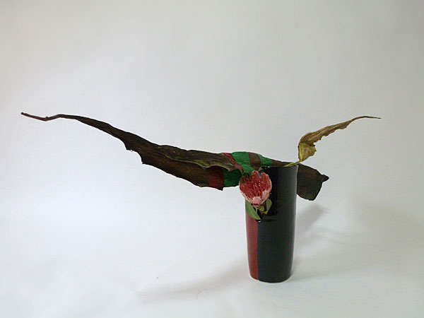 2017年2月24日金曜日、福島県郡山市・菅野草苑（かんのそうえん）さんの作品