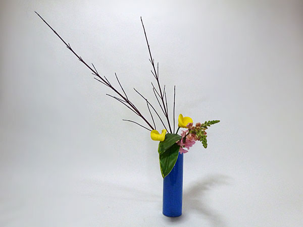 2017年2月7日火曜日、福島県郡山市・菅野草苑（かんのそうえん）教室で学ぶ国分祐輔さんの作品