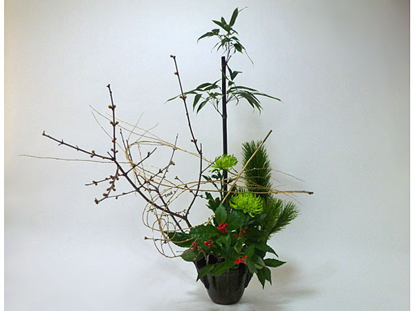 2017年1月2日月曜日、福島県郡山市・菅野草苑（かんのそうえん）さんの作品