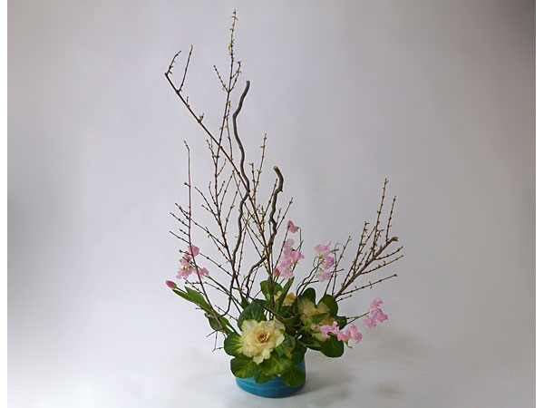 2017年1月26日木曜日、福島県郡山市・菅野草苑（かんのそうえん）さんの作品