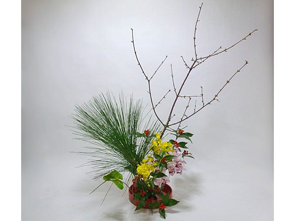 2017年1月4日水曜日、福島県郡山市・菅野草苑（かんのそうえん）教室で学ぶ国分祐輔さんの作品