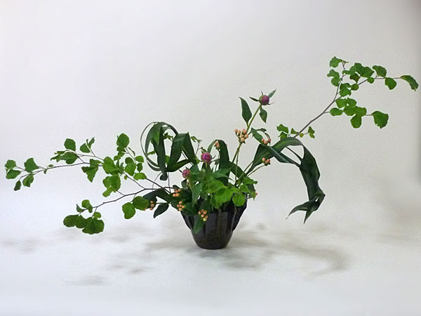 2017年6月6日火曜日、福島県郡山市・菅野草苑（かんのそうえん）教室で学ぶ秋元かなえさんの作品