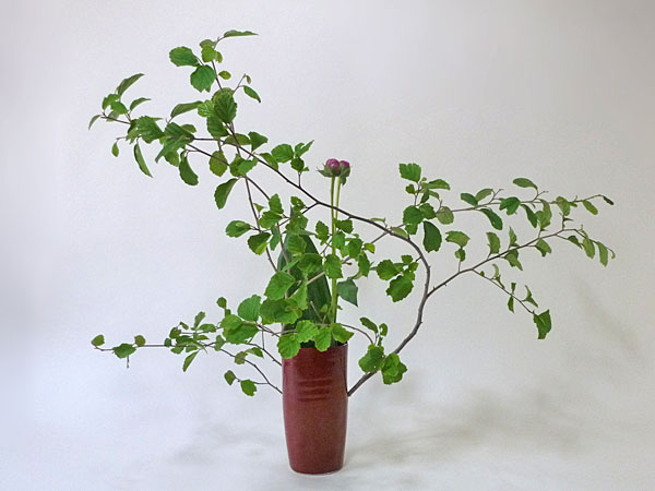 2017年6月9日金曜日、福島県郡山市・菅野草苑（かんのそうえん）さんの作品