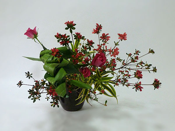 2017年3月27日月曜日、福島県郡山市・菅野草苑（かんのそうえん）教室で学ぶ秋元かなえさんの作品