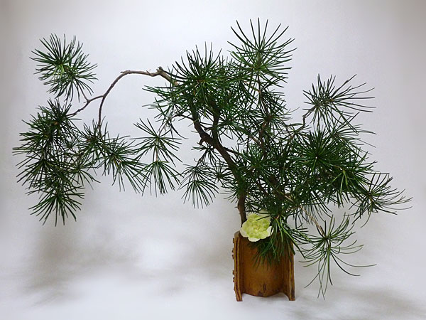 2017年3月13日月曜日、福島県郡山市・菅野草苑（かんのそうえん）さんの作品