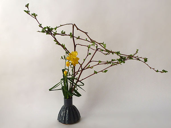 2017年3月31日金曜日、福島県郡山市・菅野草苑（かんのそうえん）さんの作品