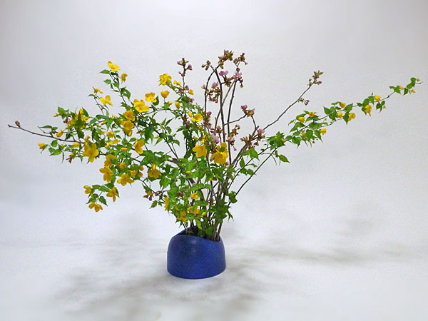 2017年5月5日金曜日、福島県郡山市・菅野草苑（かんのそうえん）さんの作品