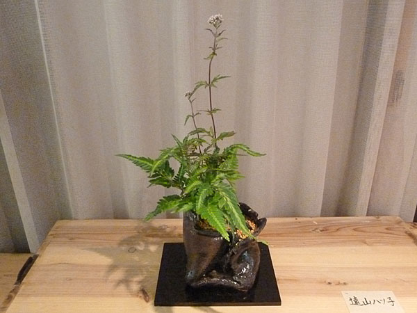 2017年10月11日水曜日、福島県郡山市・菅野草苑（かんのそうえん）教室で学ぶ遠山ハツ子さんの作品