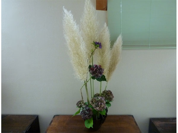 2017年10月18日水曜日、福島県郡山市・菅野草苑さんの作品