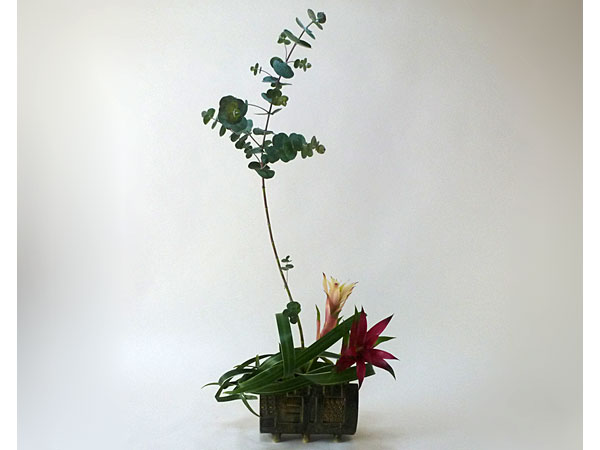 2017年10月27日金曜日、福島県郡山市・菅野草苑（かんのそうえん）さんの作品