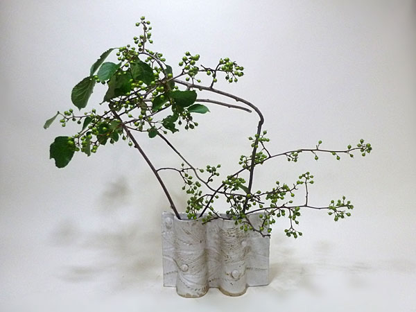 2017年9月4日月曜日、福島県郡山市・菅野草苑（かんのそうえん）さんの作品